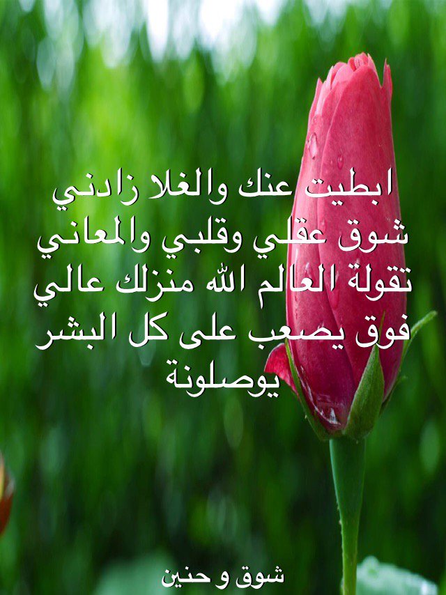 Sadiq (@sadiqj115) on Twitter photo 