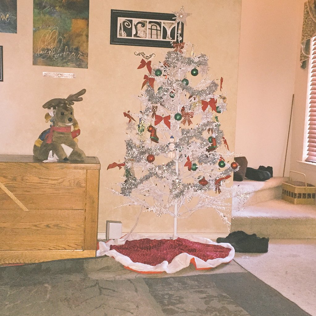 TaylorIsLife89's tweet photo. Christmas in the Stepp household 🎁☃❄️🎄 https://t.co/29JYHm50sy