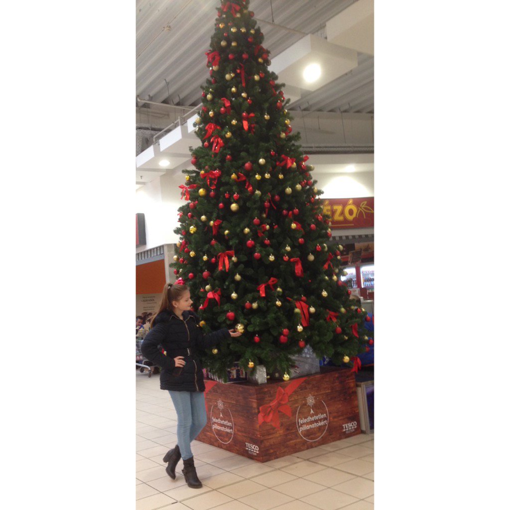 ujfannii's tweet photo. #today #winter #christmastree 🎄😊✨🎁 https://t.co/t8NDwNhGqj