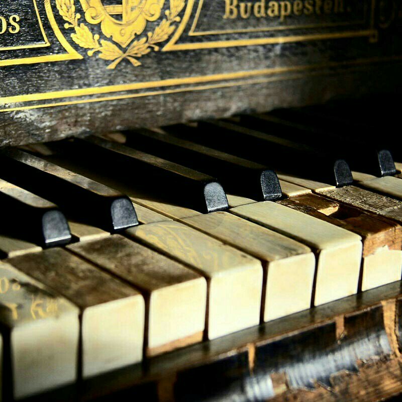 Başarımız müzikte olsaydı:Bir senafoni yapardık😊