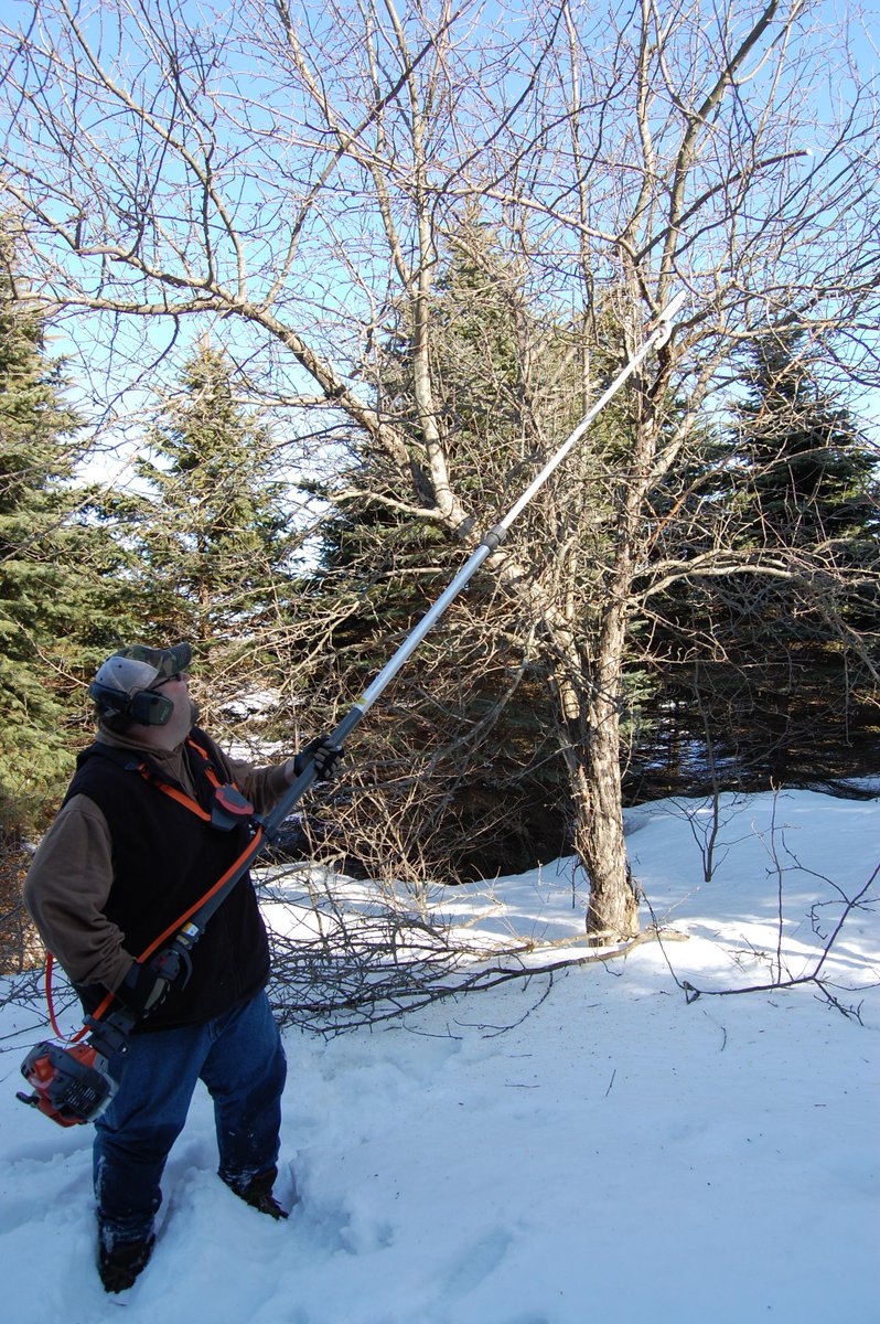 CarbonExpress's tweet photo. Winter #HabitatManagement for #HuntingWhitetail
https://t.co/D6KWTWbkAr https://t.co/EEN0ZbZys8