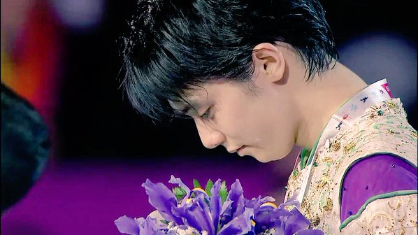 Anaïs Bisenco tweet media