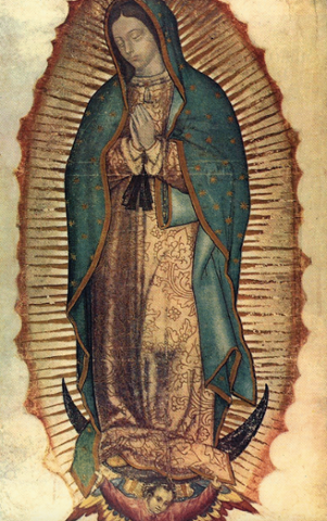 alexoficial's tweet photo. Feliz día a mi Virgen de Guadalupe!! Nuestra Patrona.. Siempre cuidándonos y dándonos fortaleza https://t.co/4AlNlhMFXS