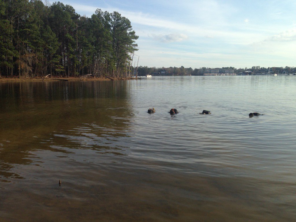 krownd71's tweet photo. "I don't like this" @JenniBrew @F3_TNT @GORUCK #coldWATERtraining #januaryingreenvillewillbeepic https://t.co/2C6tUiGvoz