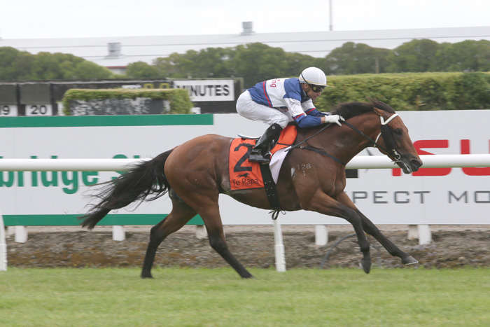 RussellWarwick2's tweet photo. Well done to @_GoRacing  team with #Passing Shot - can he give Swiss Ace his 1st Group 1 winner in 3 weeks time? https://t.co/UoEWW2OLZZ