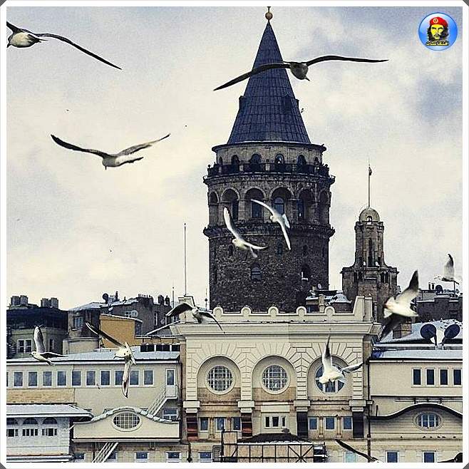 Embedded image permalink