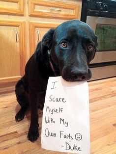 black_mamba_06's tweet photo. @TheDarkMute_ @nathalie_rayner @misslinn2 @Rine07 @CortneyCozart WOOHOOO!!!!! <3 #JoinYou<3;) https://t.co/Wt5kT01C6I