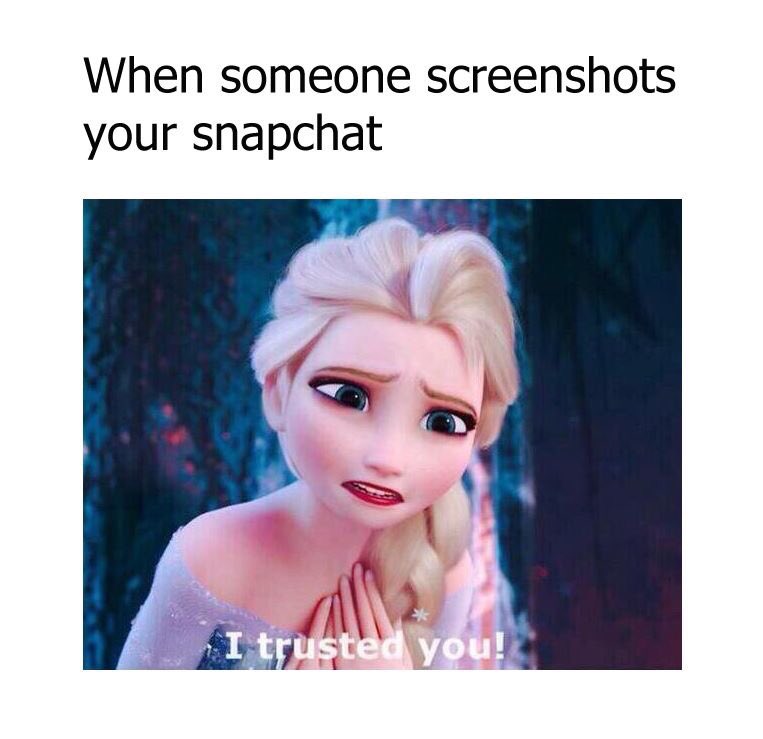 Luz Navarrete Platt tweet media