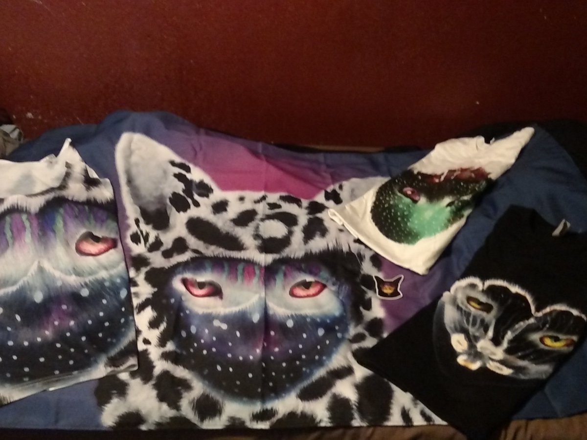 Jedidiah tweet media