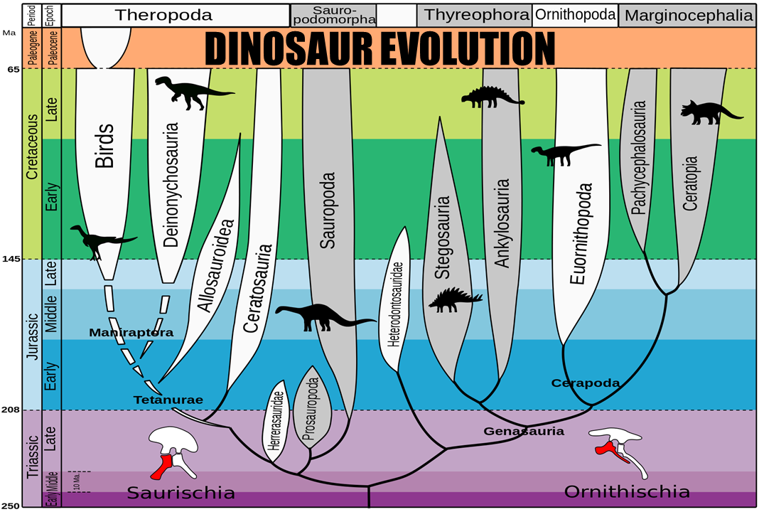 Scientific_Edit's tweet photo. #Dinosaur #evolution https://t.co/98EUCVVgNF #science #prehistoric #jurassicpark #Dinosauromorph #dino https://t.co/Kl0lJJVVZQ