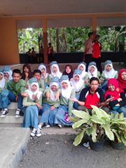Sianx