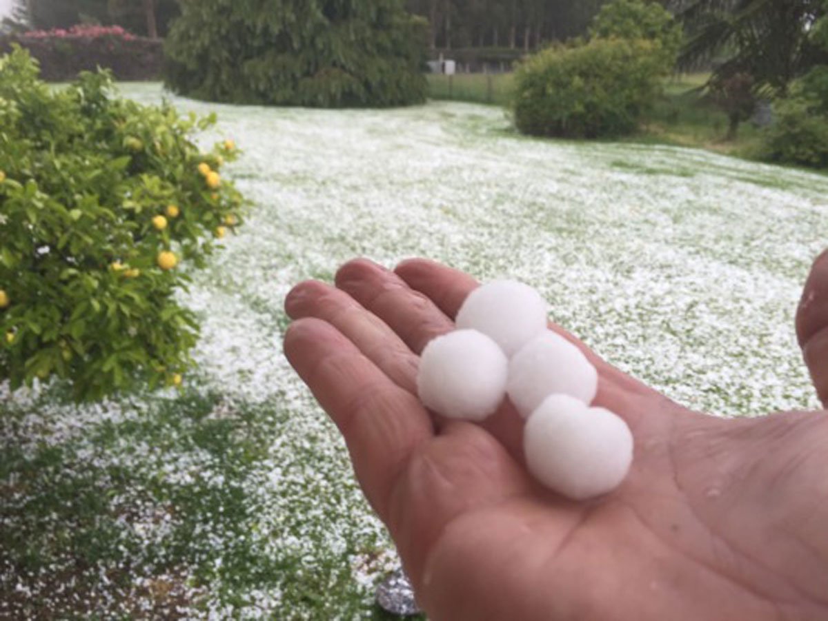 PHOTOS Thick hail blankets Canterbury and Otago Stuff Scoopnest