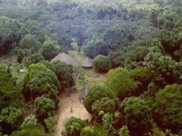 silva308_da's tweet photo. Madeireiros foram mortos a tiros em reserva indígena de RO, diz PF
https://t.co/WnqzOnCydc https://t.co/uagy9bTdrQ