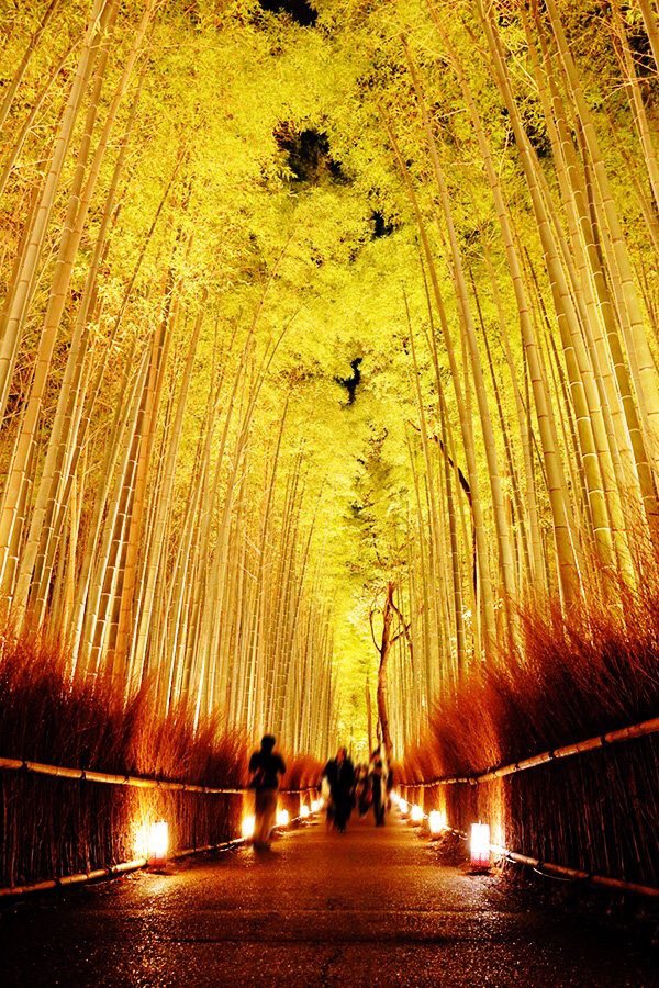 Tweet ロマンチックすぎる 嵐山花灯路 で12月の京都デートは決まり Naver まとめ