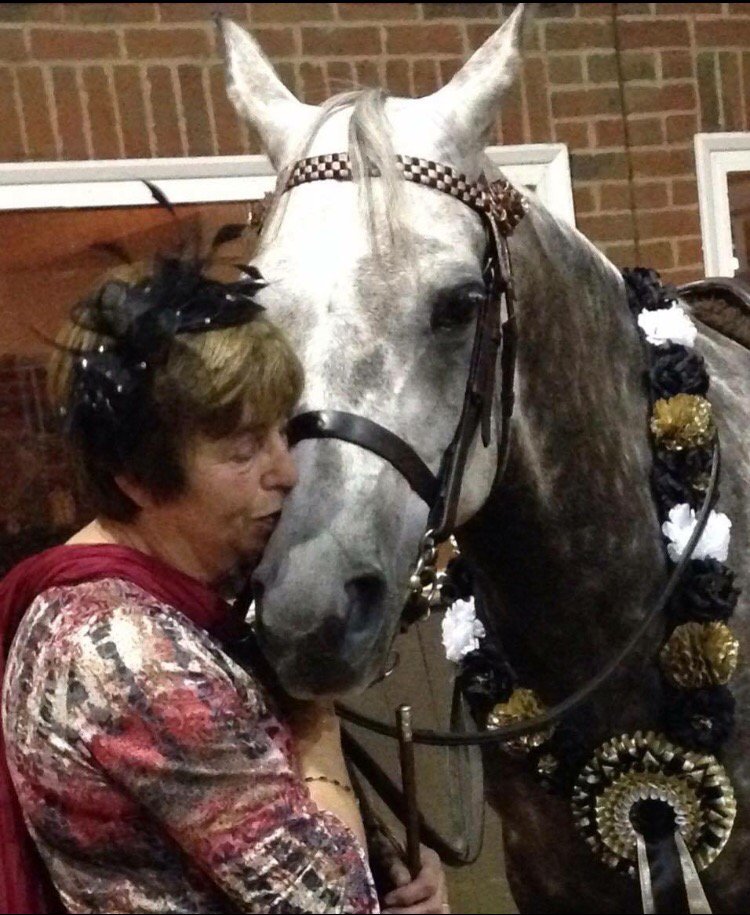 RiddenArabian's tweet photo. A moment of Affection from one of our top ten finalists 2015 https://t.co/pdhFz1A435