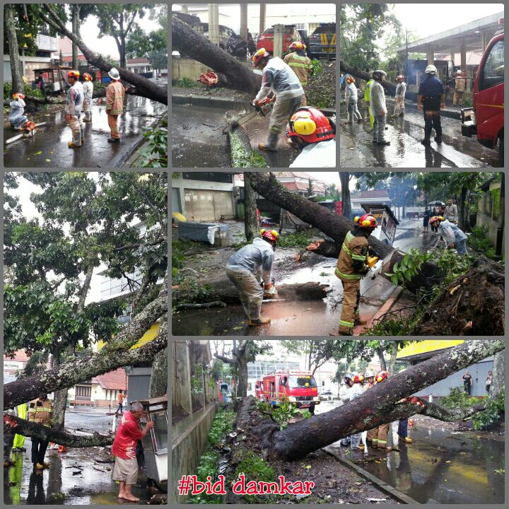bdg_siaga113's tweet photo. 15.15 evakuasi phn tumbang jl cirebon usai Rescue blk kanan mako @ridwankamil @OdedMD @yossiirianto @FerdiLigaswara https://t.co/ZYAVZDX29K