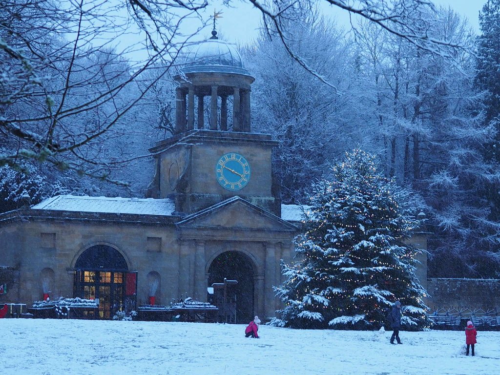 National Trust on Twitter "You’ll find 1000 Christmas trees at