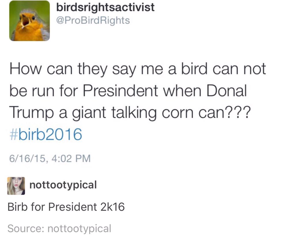 angryasn's tweet photo. #Birb2016 #corncan https://t.co/CuWPGQVQrj
