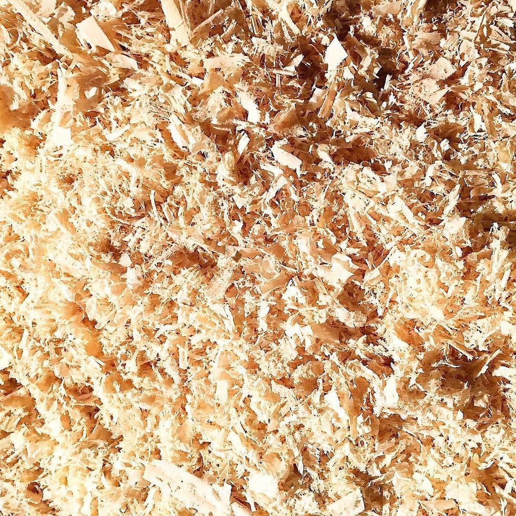 bejaybreton's tweet photo. Sign of a hard night's hustle. Wood shavings here are of Maple. Beautiful, light, and resi… https://t.co/5PumL4IzZd https://t.co/SbPPFDpdok