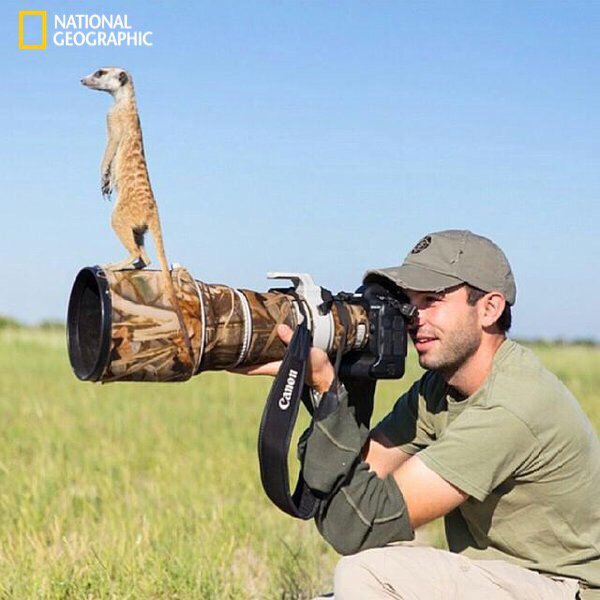 نزار الشهري (@nezr2000) on Twitter photo 