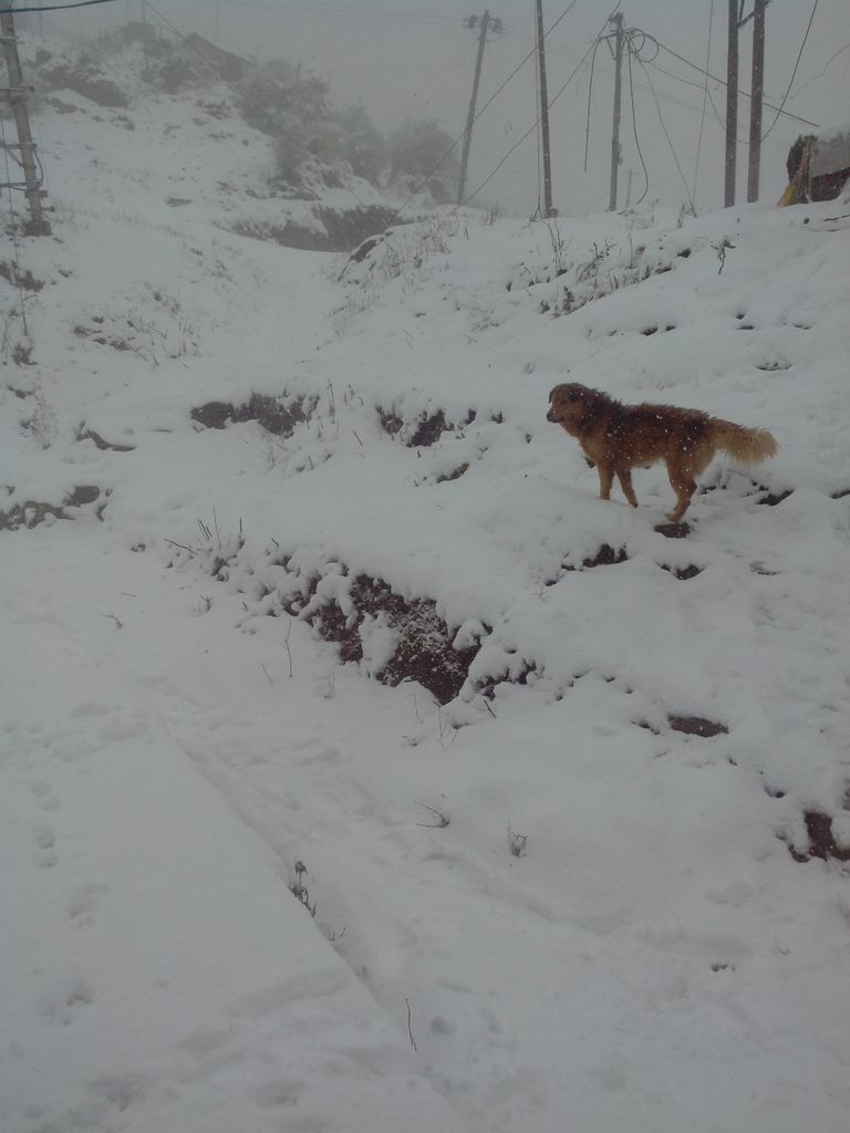 basudeb199 tweet picture