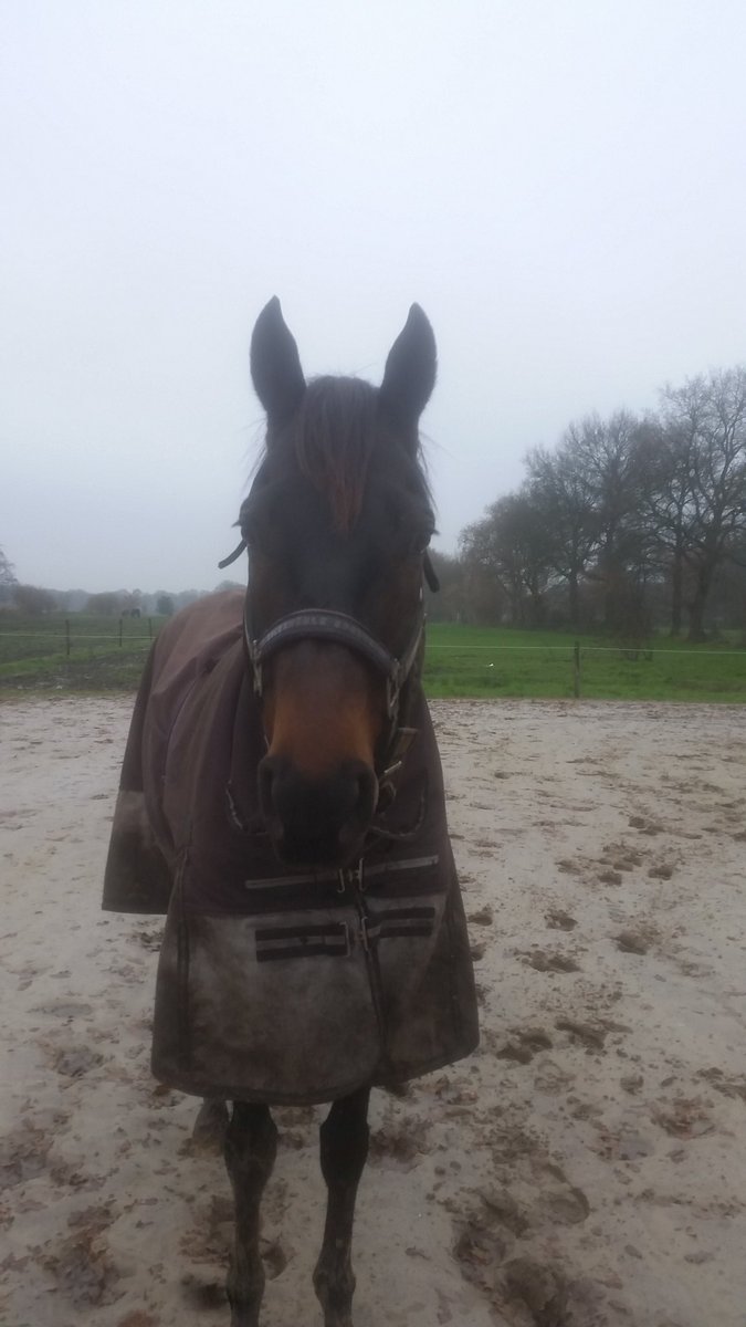 My new friend rudolf valentino 😍