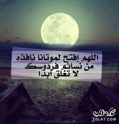rosemare47's tweet photo. https://t.co/iHt5fum8uU