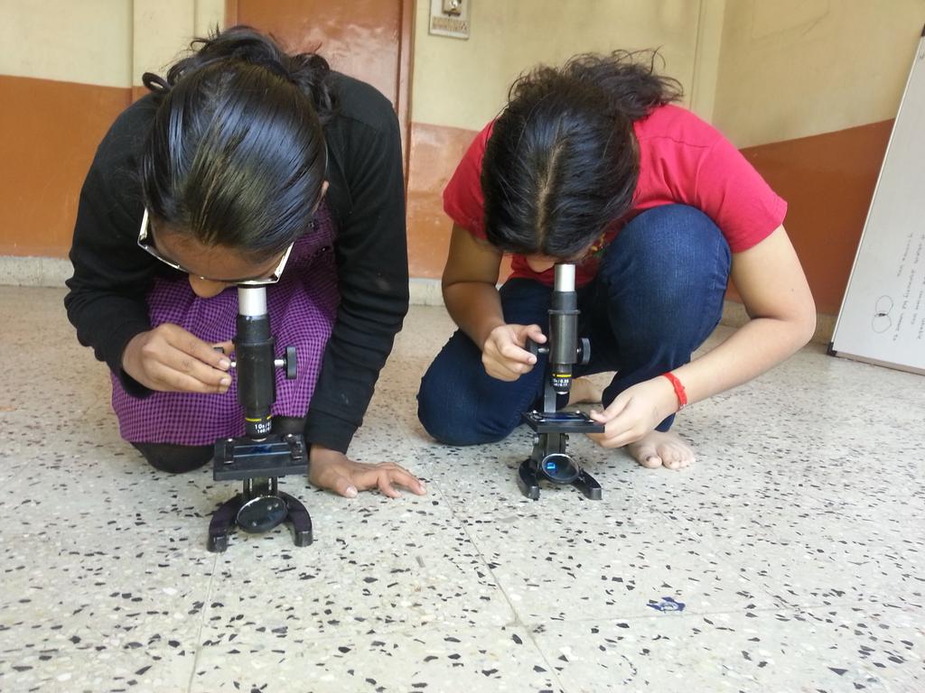 SunSciSchool's tweet photo. Microscopic observations at #sundayscienceschool https://t.co/5h8nHXM8wt