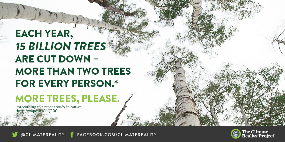ClimateReality's tweet photo. More deforestation means harsher climate impacts. Protect the trees, protect the planet https://t.co/dVCBIu4moQ https://t.co/rWMUYzNel6