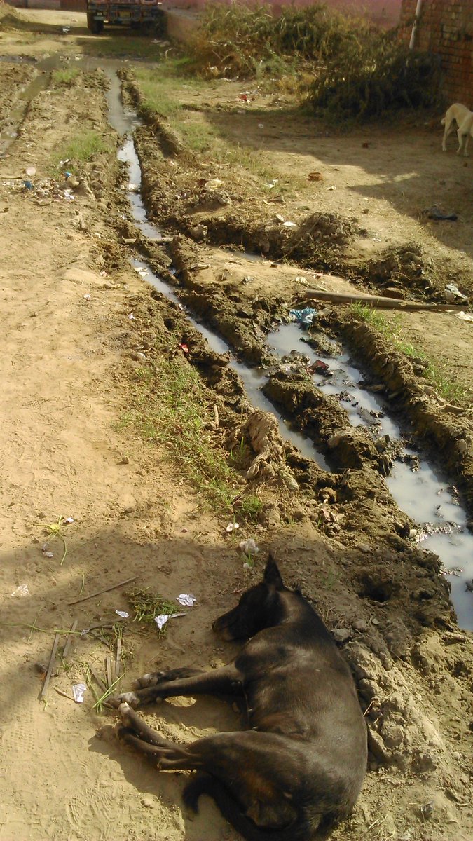 rbmalwal1's tweet photo. @cmohry ये सडक है या गंदा नाला,  गांव खानक, तोशाम, भिवानी। पंचायत को कई बार बताने के बावजूद कोई सुनवाई नहीं। https://t.co/bT5BNPETib