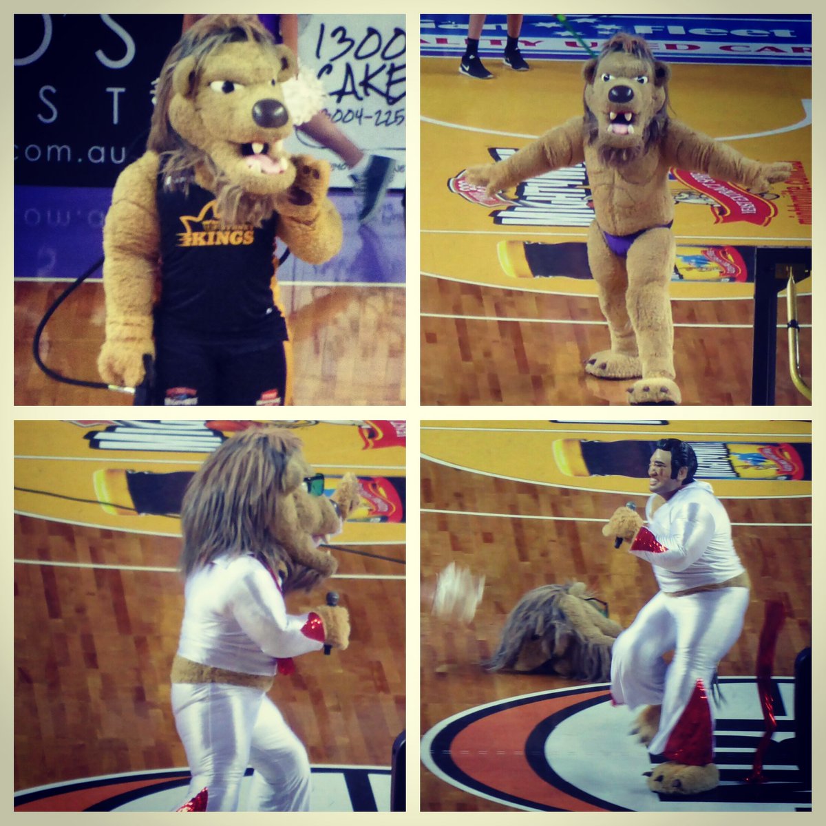 MissCheckers's tweet photo. More costume changes than the #SydneyKingsHarlequins #elvisisinthehouse #lastbounce #FarewellKingdome #SydneyKings https://t.co/gCsOoJ4Q8C