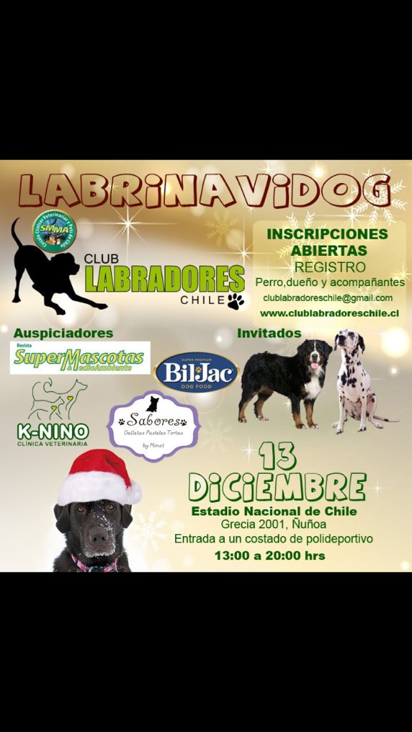 Hoy promoción en estadio nacional para @labradores2015 siempre presente el mejor alimento <a href="/biljacChile/">Bil-Jac Chile</a> #doglover