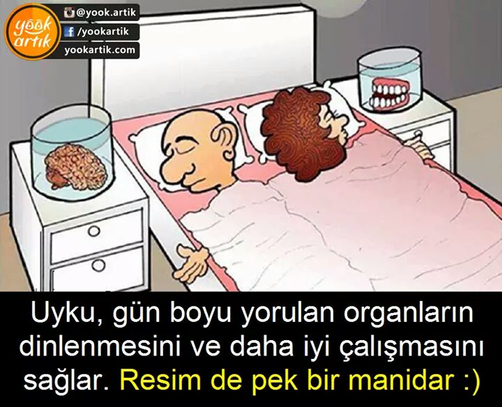 Yusuf Kaymaz (@yusufka95) on Twitter photo 