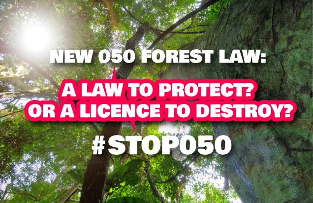 Greenpeaceafric's tweet photo. Forest laws should protect the #CongoBasin, not licence its destruction
https://t.co/W8RWV3LOYl #Stop050 @FSC_IC https://t.co/xaWtV82X42