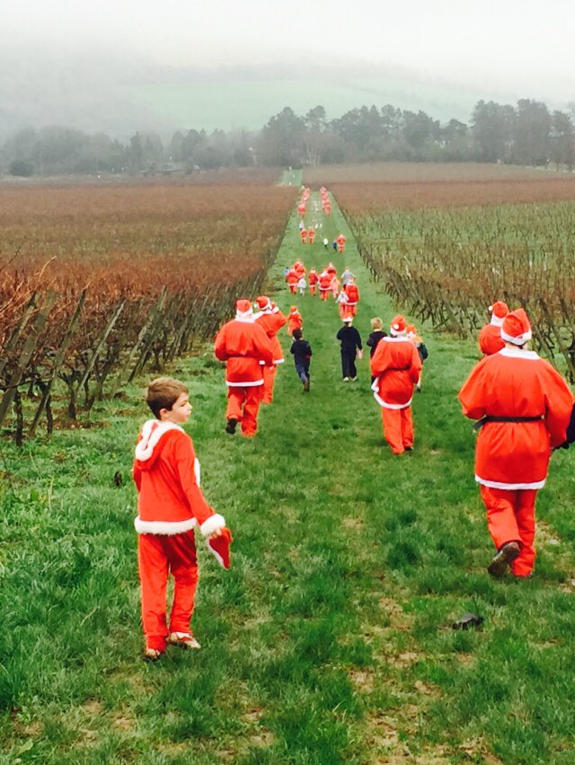 #SantaFunRun through the vineyard! 🎄🏃🏽