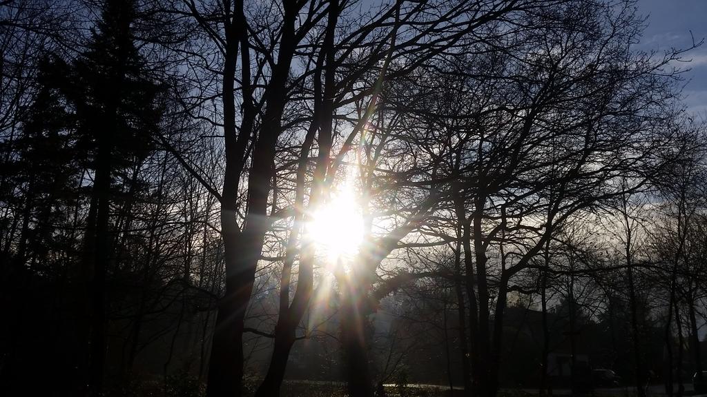 Fijn getraind #HollandscheRading lichte week met very special guest @MjKranendonk van <a href="/TeamThuijs/">Team Thuijs</a>