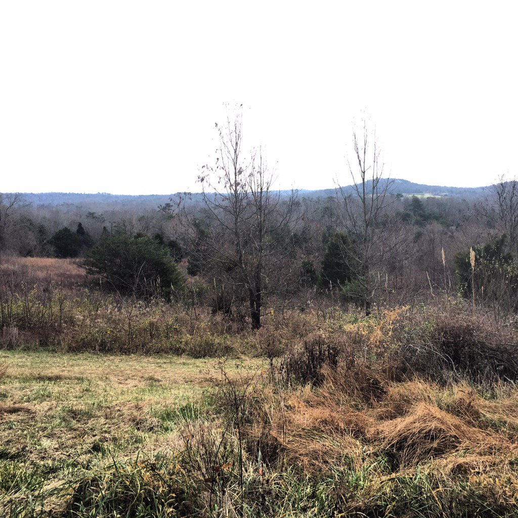 BlakelyByrd's tweet image. Made it to #Kentucky! ....where it is 72 degrees, overcast and the deer aren't moving 😐 #muzzleloaderseason