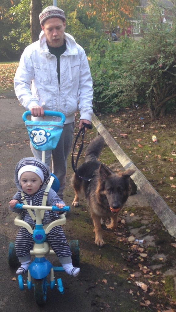 fowkes19's tweet photo. #GermanShepherd #gsd #incagod #bike https://t.co/RgAe4MEDKF