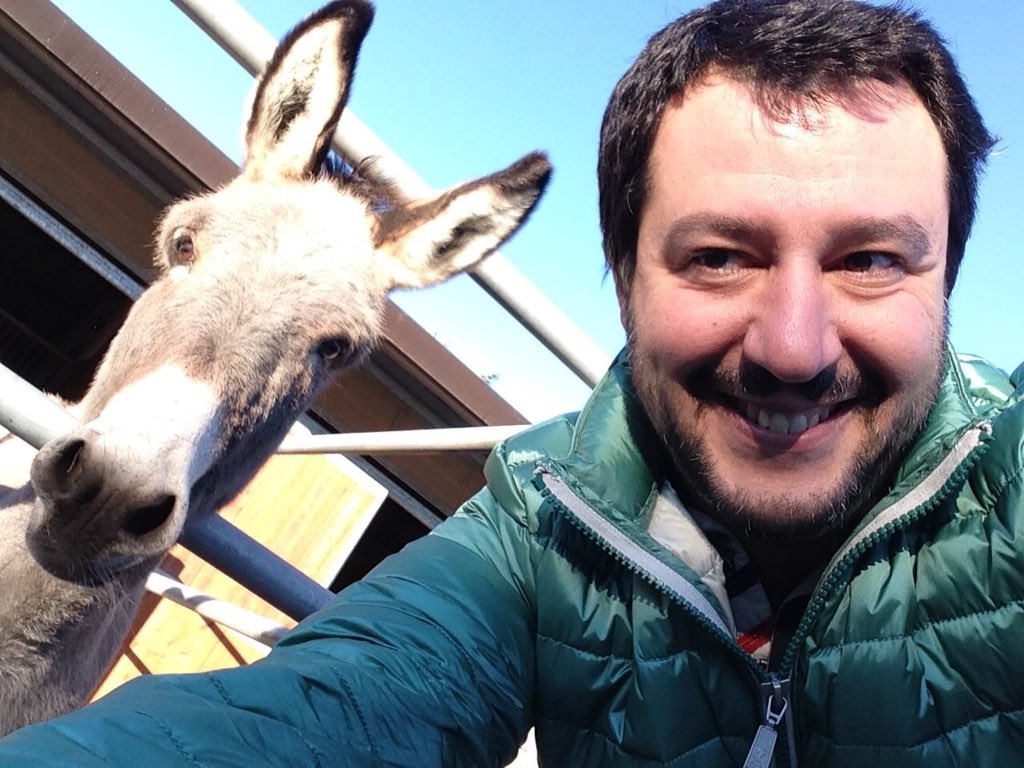 matteosalvinimi's tweet photo. Aldilà dell polemiche politiche... buona #SantaLucia a tutti! #Salvini https://t.co/Co67lsvESn