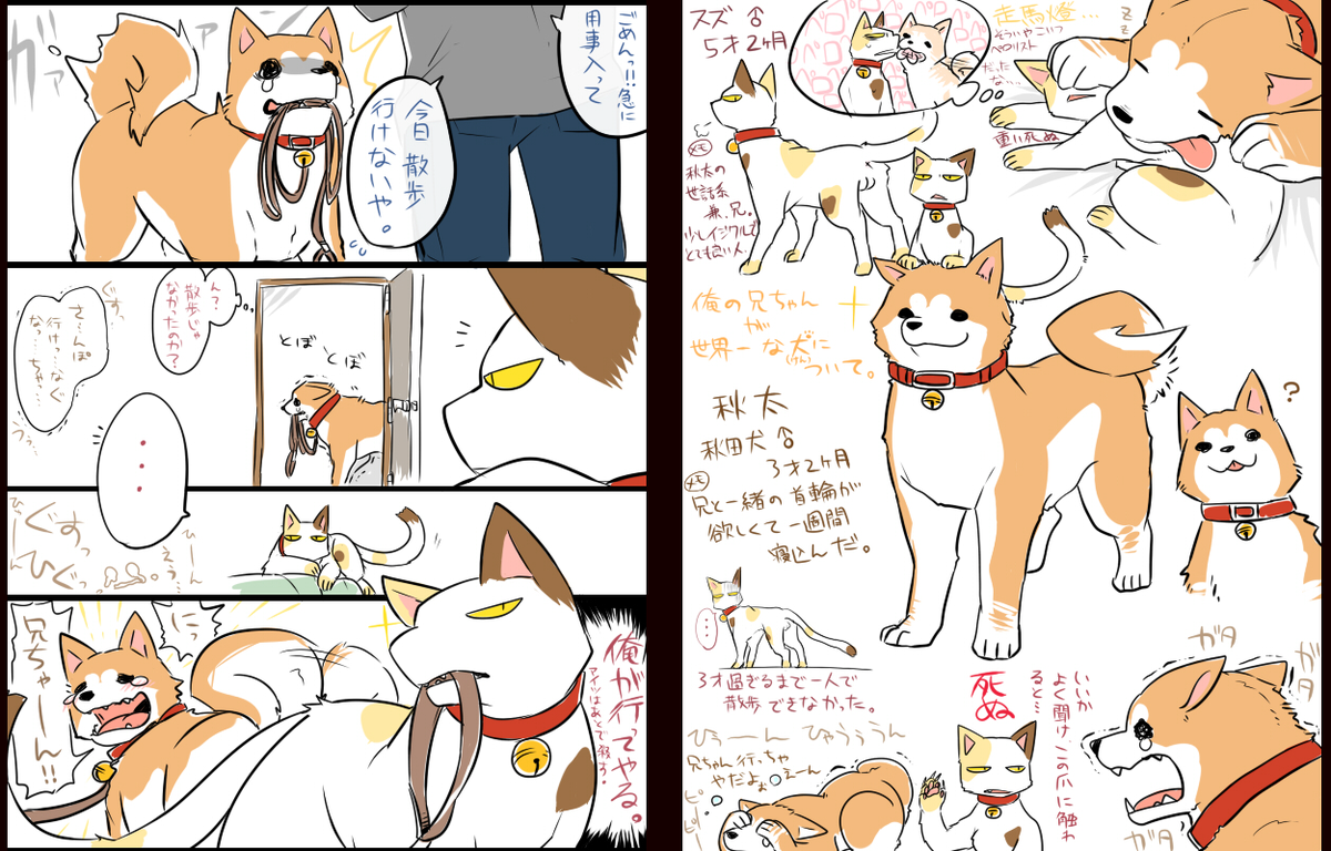 空狗 からいぬ Karainu1001 Twitter 空狗 からいぬ Karainu1001 Twitter