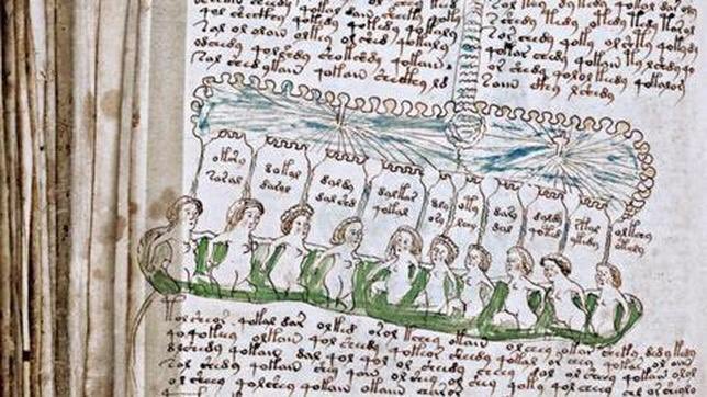 SymvoliCultura's tweet photo. Tractat de botànica, medicina?Fins al 31/01, en podeu veure una digitalització a l'expo #Escriptures @mculturesmon https://t.co/pmUVICKQWi