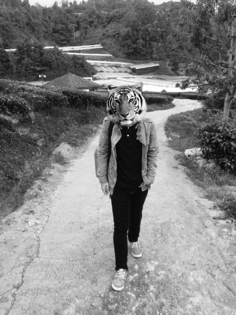 RazyAxe's tweet photo. Tiger 🖕🏻# https://t.co/PdqFlyUtGc