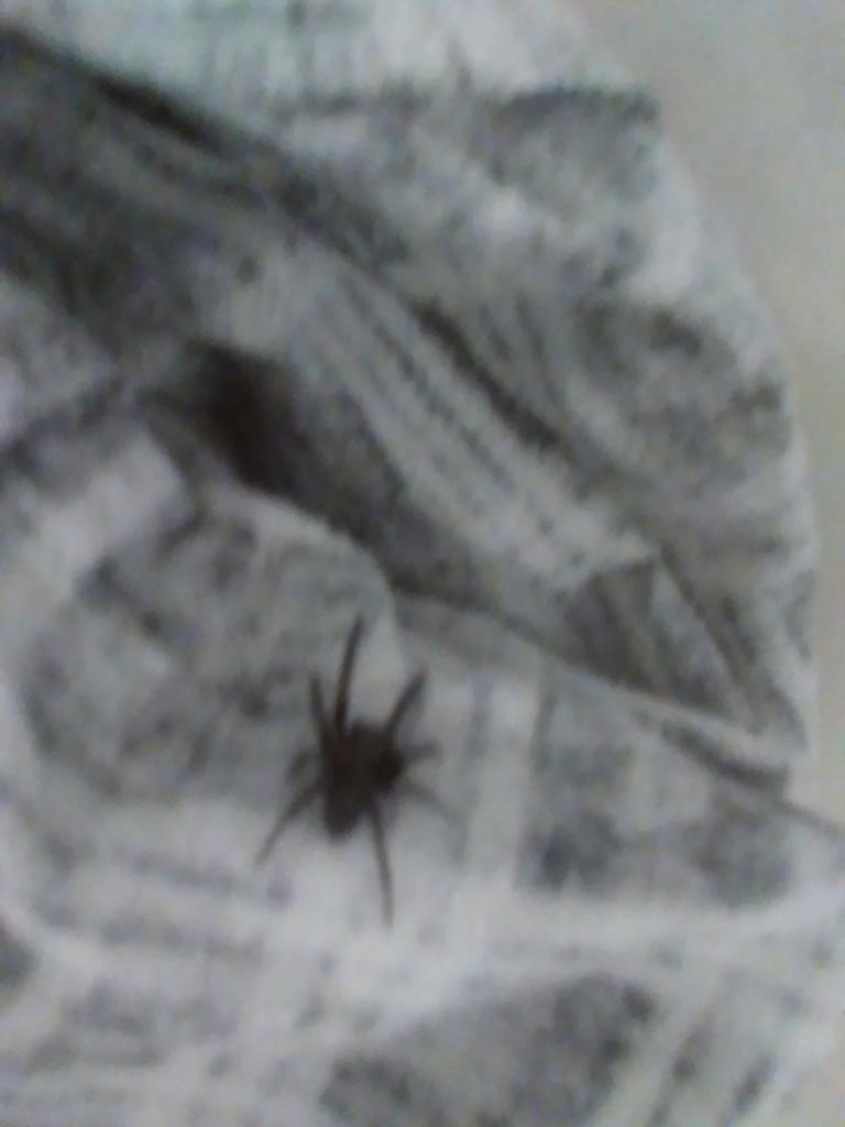 Chevonne Costello tweet media