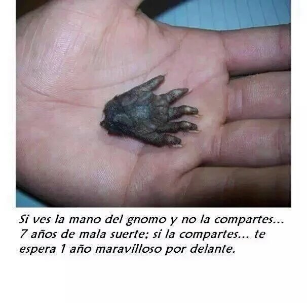 ValeenGrillia's tweet photo. La ví, la ignoré y se me rompió el taco entero apenas llegué al boliche👏👏👏💁💀👹👠 https://t.co/lII9kONYES