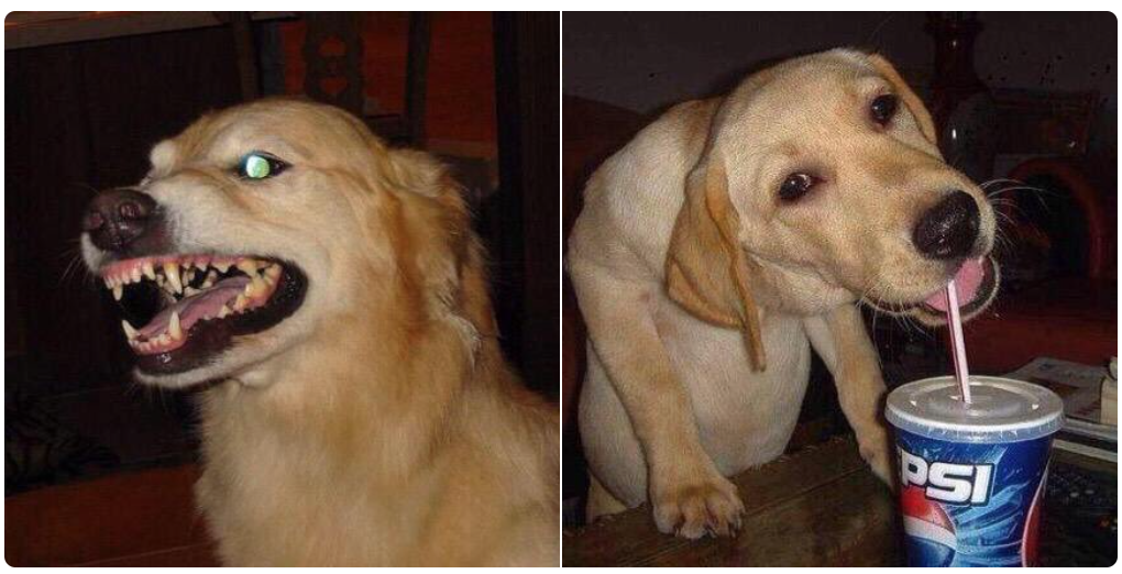 soynormalvale's tweet photo. yo antes y después de comer https://t.co/gGCpzKXsUV