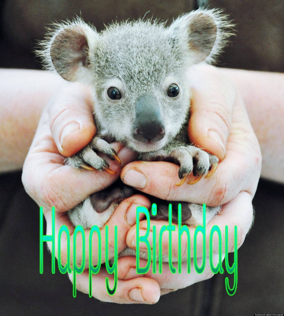 Happy birthday to Katherine Schwarzenegger -Oliver Lancaster -Ryan France -Olav Bjortomt-Peter Stringer-Tupele Dorgu 