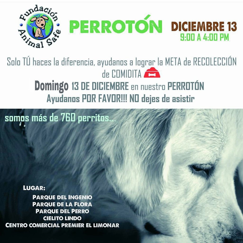 FundaAnimalSafe's tweet photo. Buenos días amigos! 
Hoy es nuestra ultima #perroton del año y es muy importante que nos ayudes. 
#CALICOLOMBIA https://t.co/AkHgOBvoKV