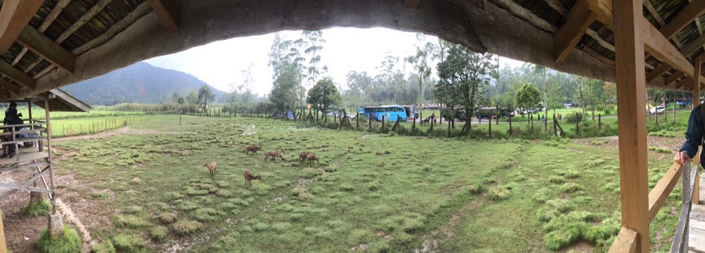 kang_oki's tweet photo. Kampung cai - rancaupas @dikirubiansyah @R_A_007 @newgamiyaci kapan explore tempat lain?😉 https://t.co/622dxLnjeJ