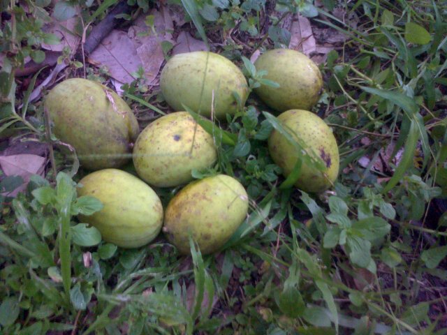 MayerJhon's tweet photo. Makan ny sih ndk seberapa, nunggu nya itu yang seru https://t.co/zRbd6RmM4J