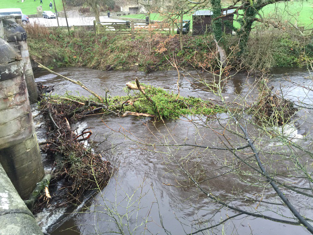 Ruth Newton tweet media